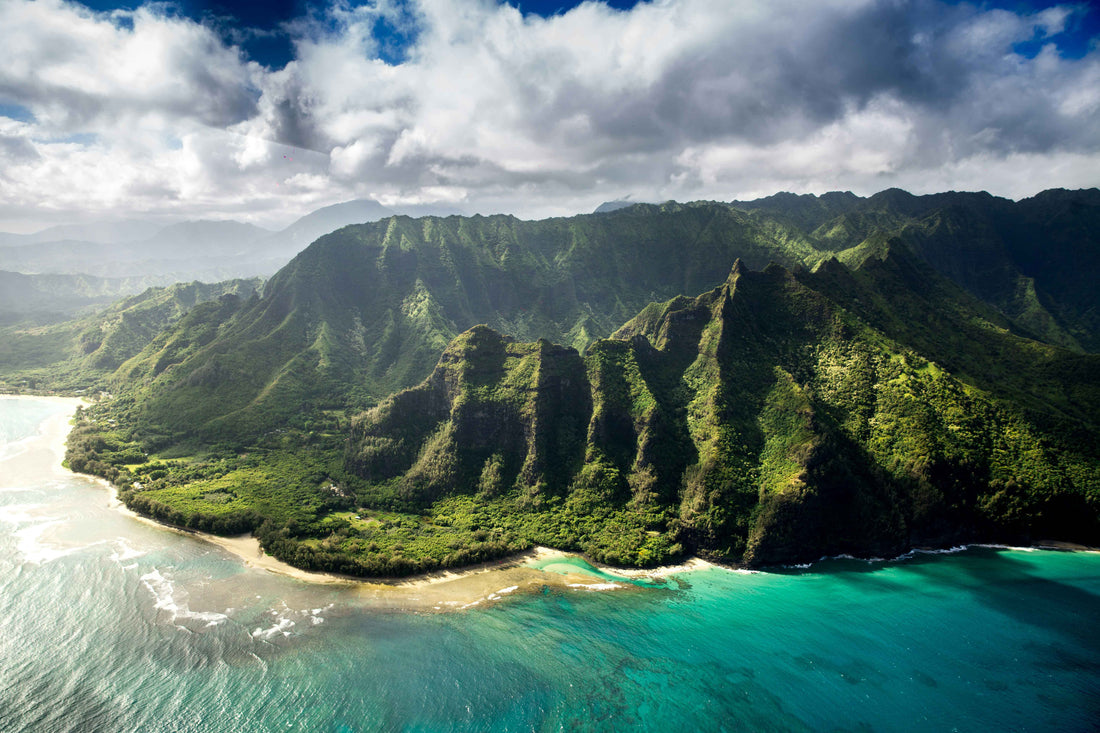 Hi, I'm Shea! Why I Paint Kauaʻi Like a Time Capsule